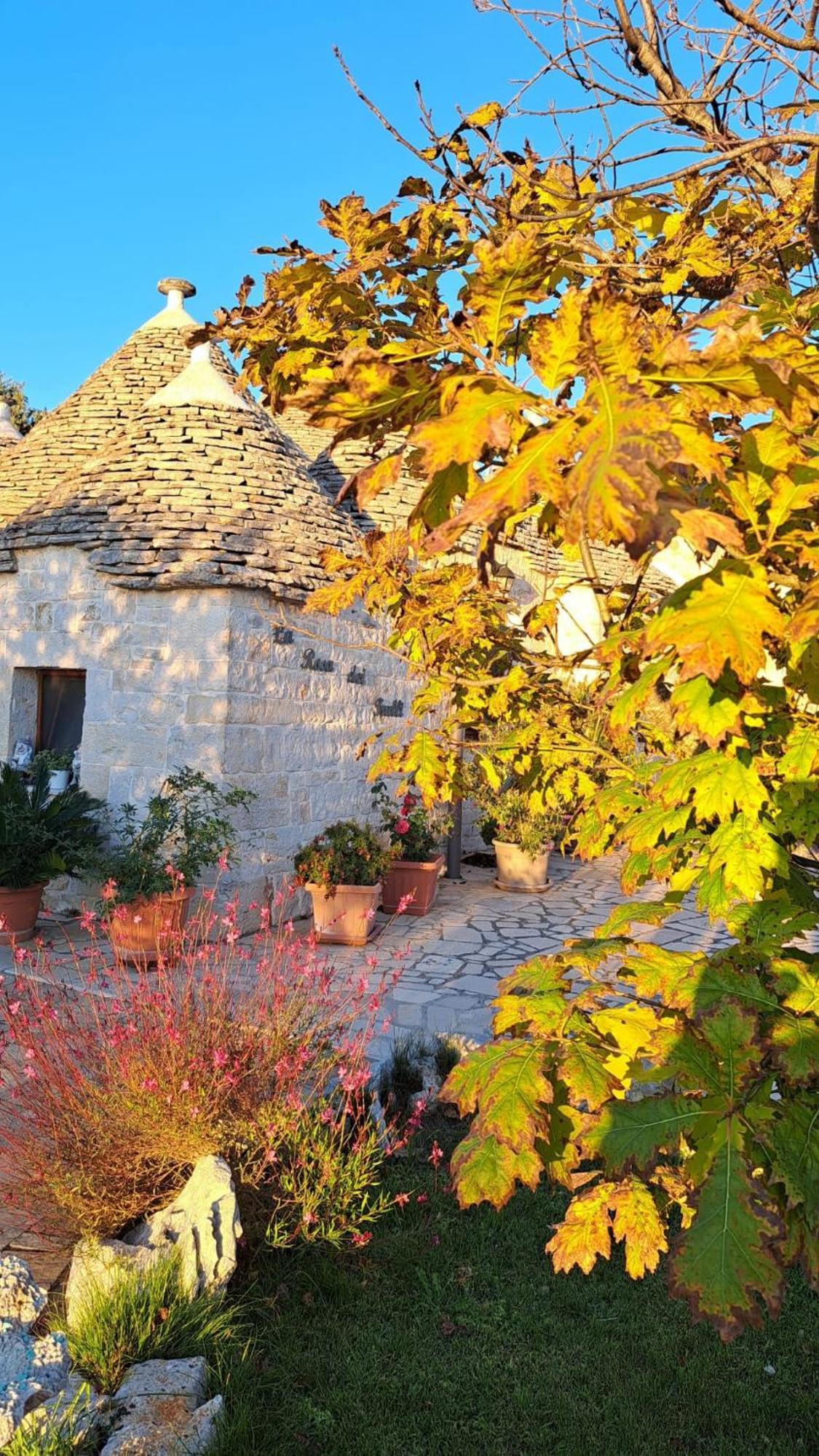 アルベロベッロ ラ ロサ デイ トゥルッリ B＆B Bed & Breakfast エクステリア 写真