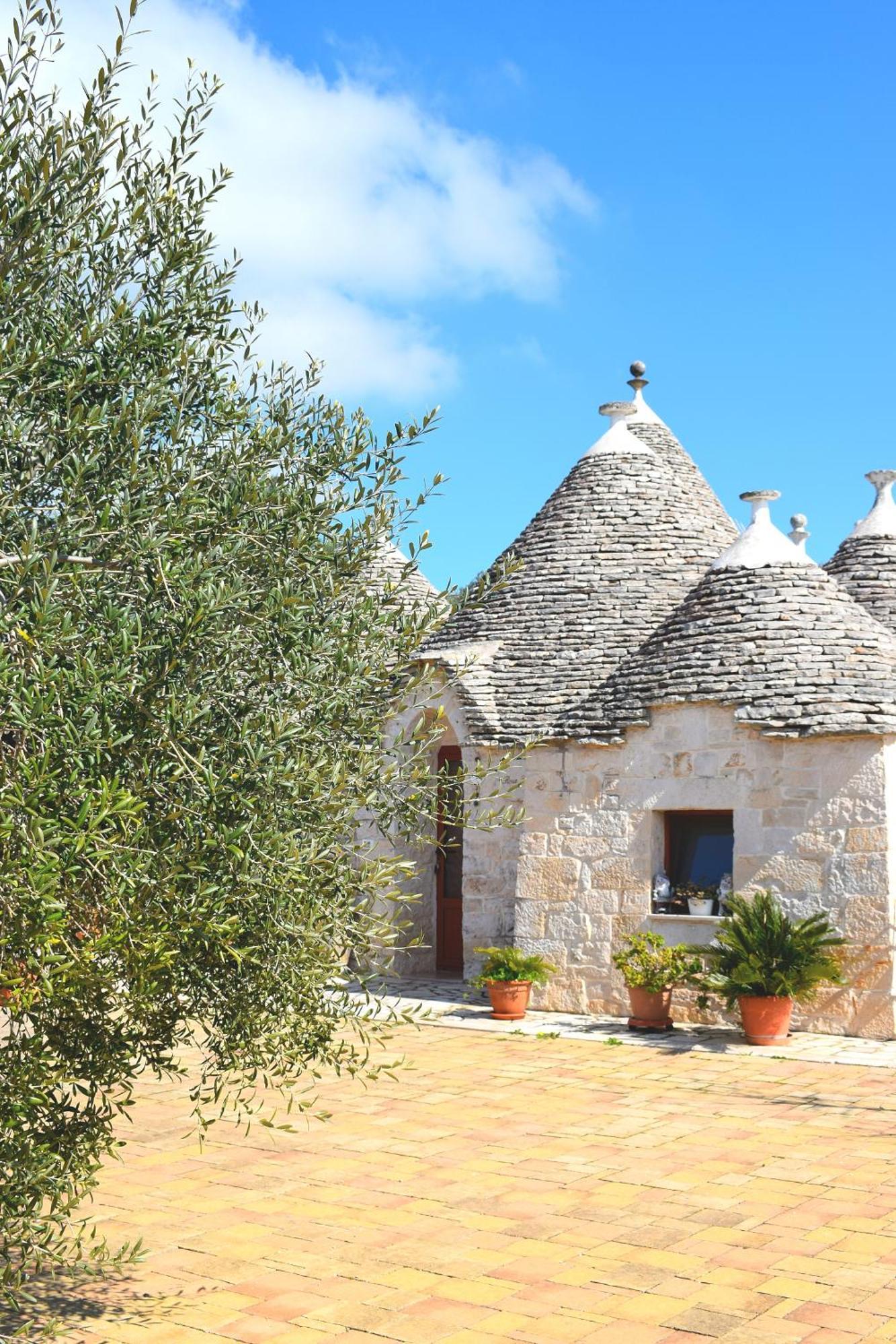 アルベロベッロ ラ ロサ デイ トゥルッリ B＆B Bed & Breakfast エクステリア 写真